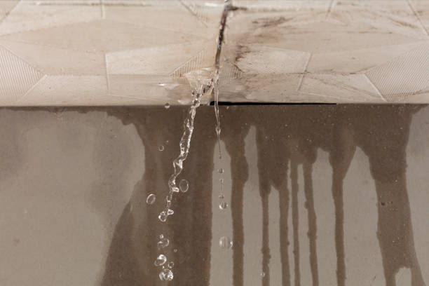 Professional Water Damage Inspection technician working in Artesia, CA